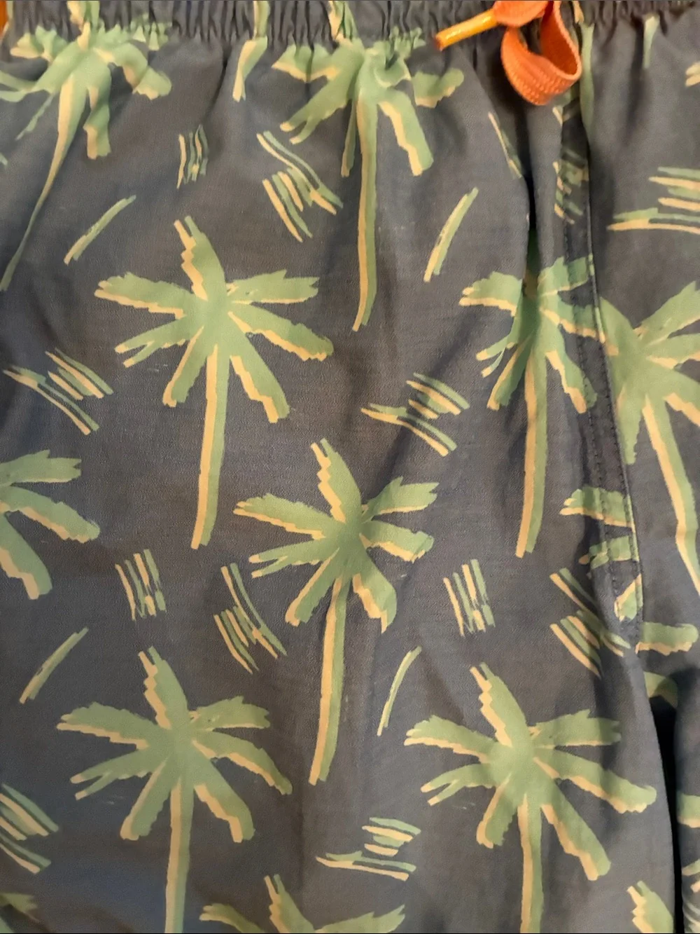 Chubbies Palm Tree Swim Trunks (Light Blue & Mint Green)